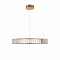 Светильник Freya FR5257PL-L25G