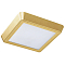 Светильник Lightstar 216834