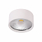 Светильник Crystal Lux CLT 525C95 WH 4000K