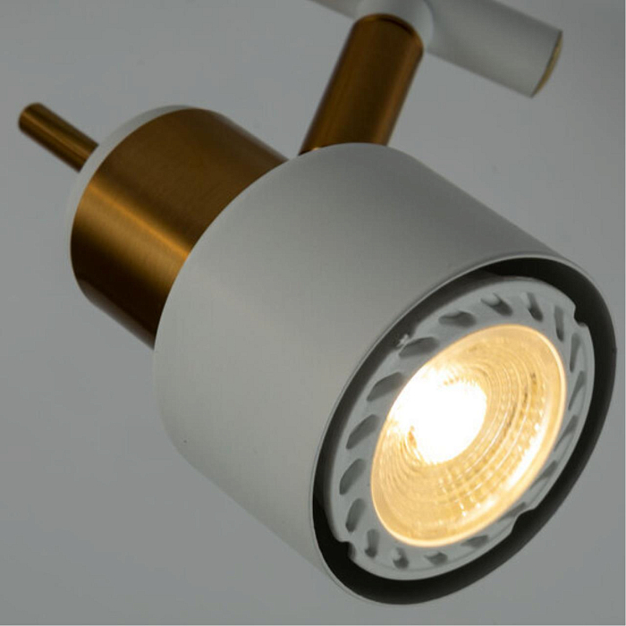 Спот на 2 лампы ARTE LAMP A1906PL-2WH
