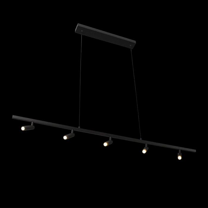 Светильник LOFT IT 10260/5 Black