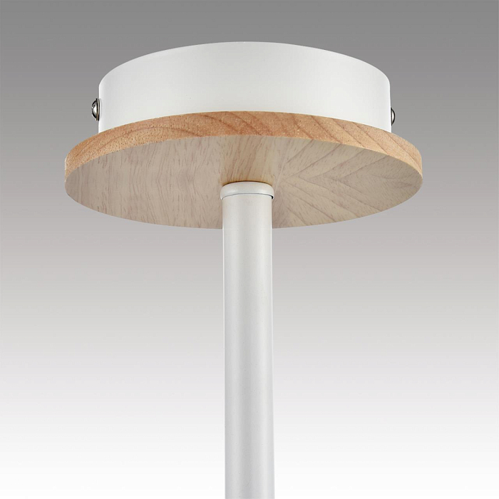 LUMION 8246/5C