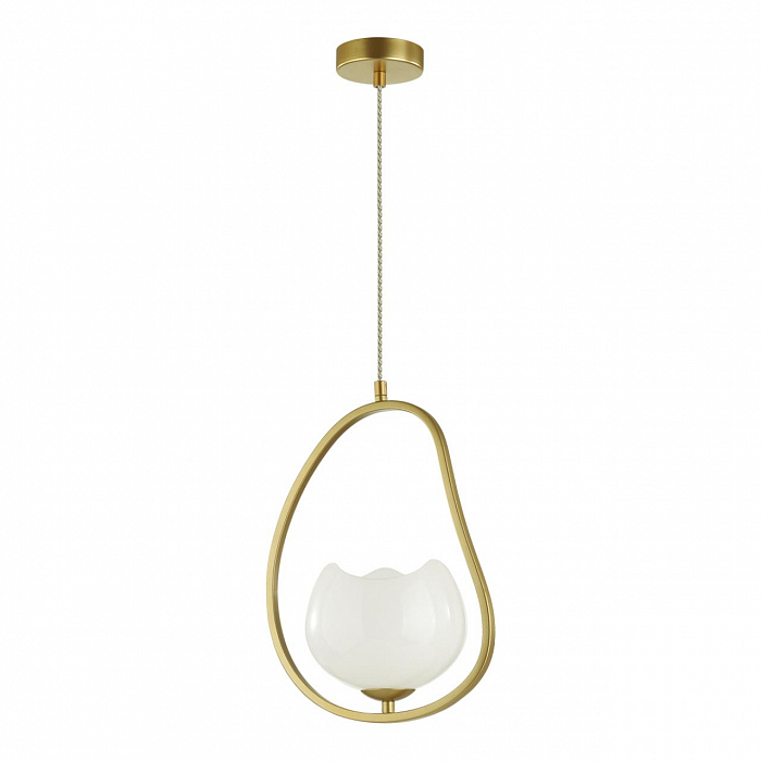 Светильник ODEON LIGHT 4873/1