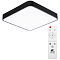 Светильник с пультом ARTE LAMP A2663PL-1BK
