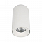 Светильник LOFT IT 10220 White 3000K