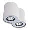 Светильник накладной ARTE LAMP A5633PL-2WH