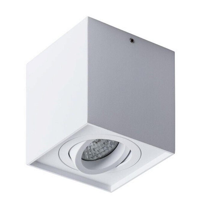 Светильник накладной ARTE LAMP A5544PL-1WH