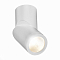 Светильник накладной ST LUCE ST650.542.10