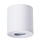 Светильник накладной ARTE LAMP A1460PL-1WH
