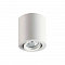 Светильник накладной ODEON LIGHT 3567/1C