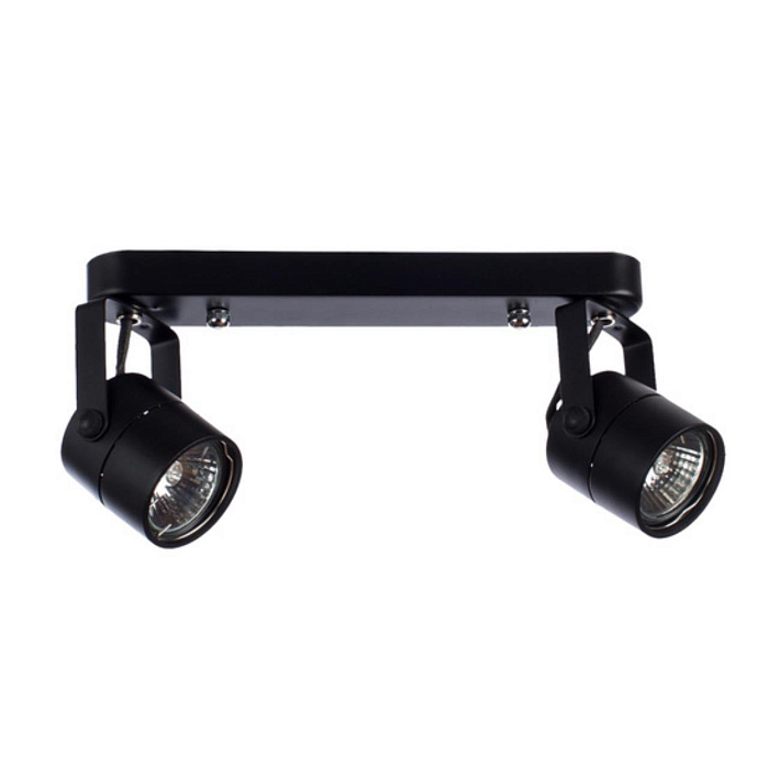 Спот на 2 лампы ARTE LAMP A1310PL-2BK