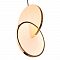 Светильник одинарный LOFT IT 9970B