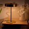 Настольная лампа ARTE LAMP A5038LT-3PB