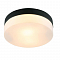 Светильник светодиодный ARTE LAMP A6047PL-2BK
