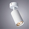Спот на 1 лампу ARTE LAMP A3216PL-1WH