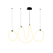 Светильник светодиодный ARTE LAMP A2850SP-80BK