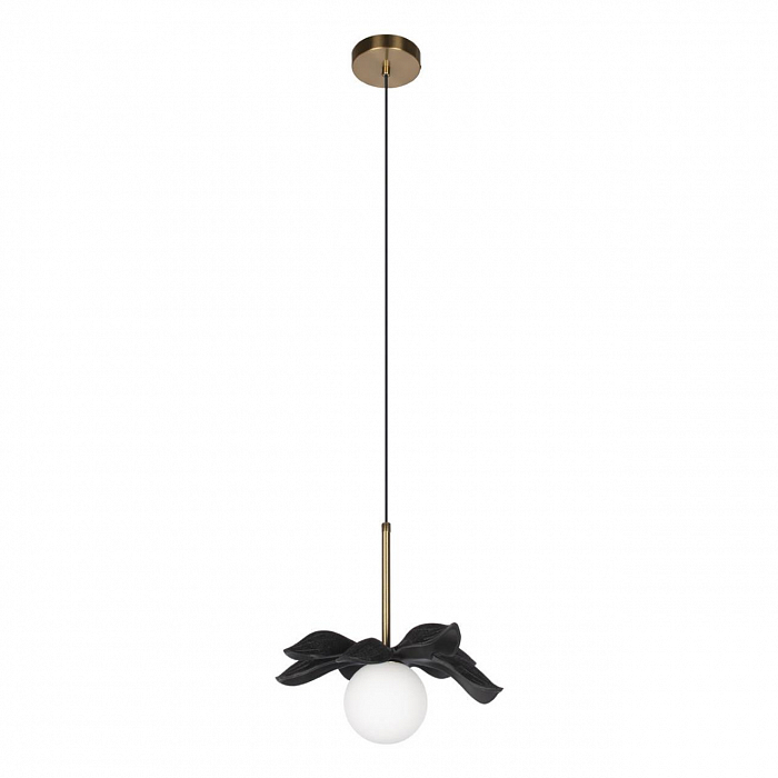 Светильник LOFT IT 10213/A Black