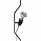 Светильник LOFT IT 10346/2 Black