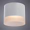 Светильник накладной ARTE LAMP A5554PL-1WH
