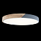 Светильник светодиодный LOFT IT 10004/36 Grey