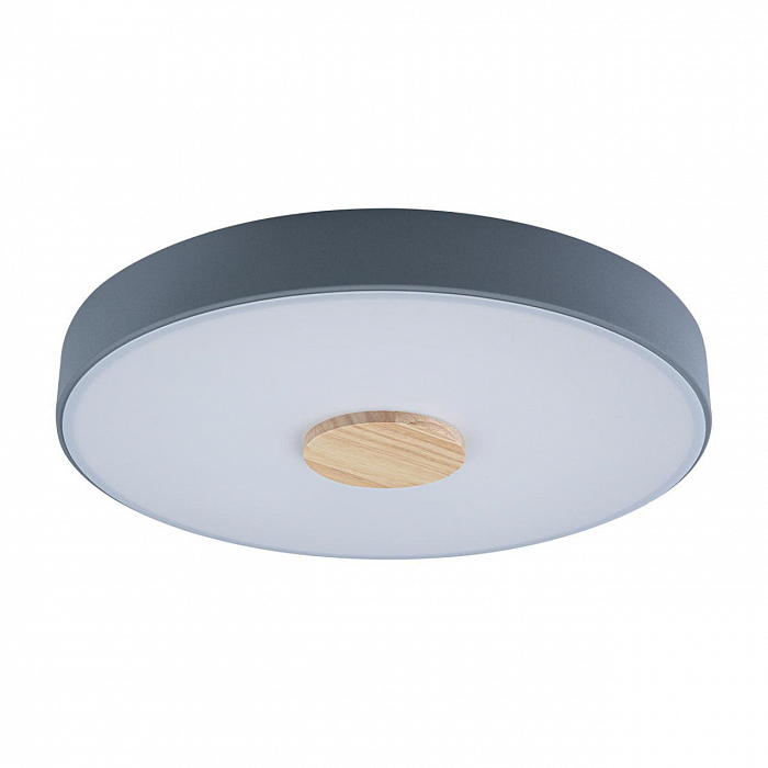 Светильник LOFT IT 10003/24 Grey