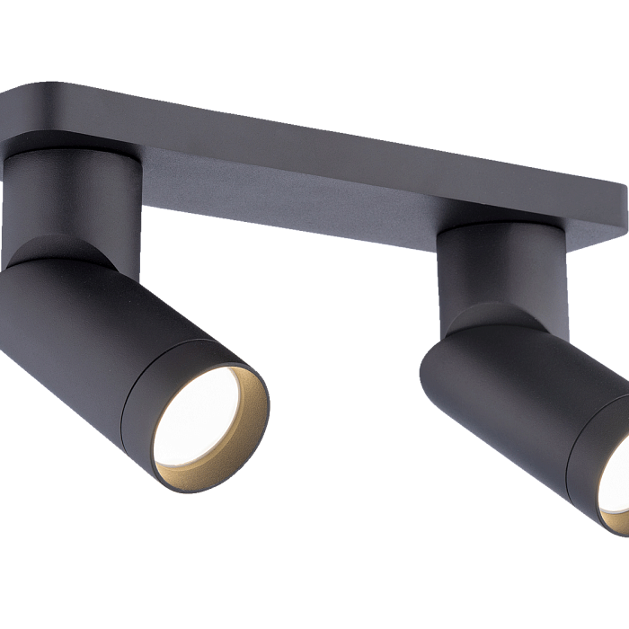 Светильник на 2 лампы Sfera Sveta SL-7060/60-2B-GU-BK