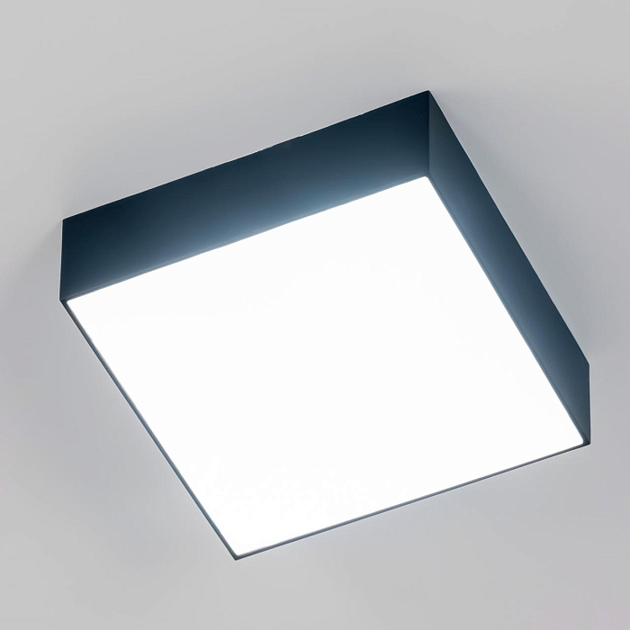 Светильник светодиодный  CL712X122N
