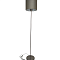 Торшер Brizzi modern BR00333