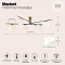 Светильник потолочная Maytoni MOD048CL-06G