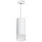 Светильник одинарный Lightstar RP648681