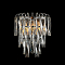 Бра NewRgy L10-ф250*H270 CHROME