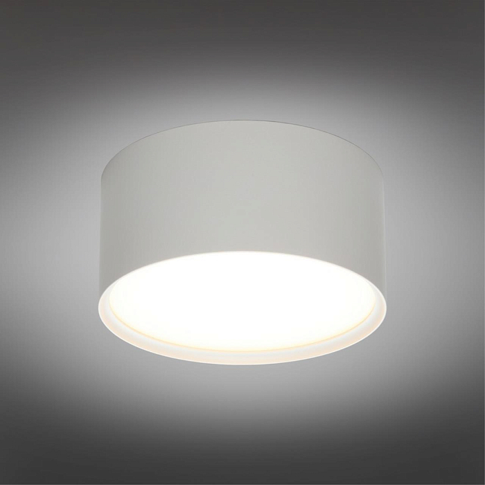 Светильник Omnilux OML-103309-12