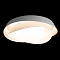 Светильник LOFT IT 10256 White