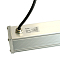 FERON 51288