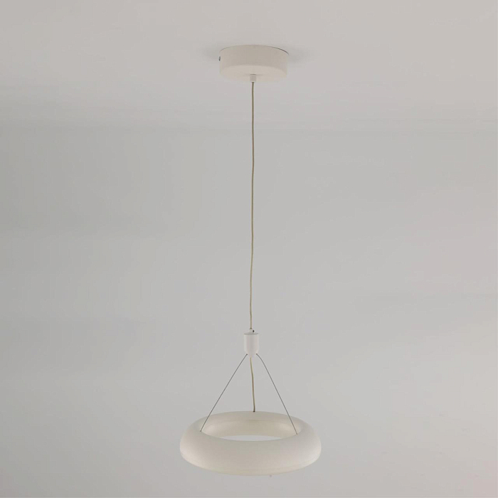 Светильник светодиодный  CL225B110