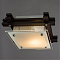 Светильник на 1 лампу ARTE LAMP A6462PL-1CK