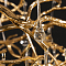 Люстра LOFT IT 10067/1250 GD