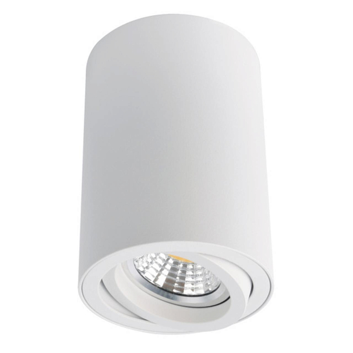 Светильник накладной ARTE LAMP A1560PL-1WH
