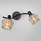 CL542521 Таверна Св-к Наст.-Потол Спот на 2 лампы  CL542521