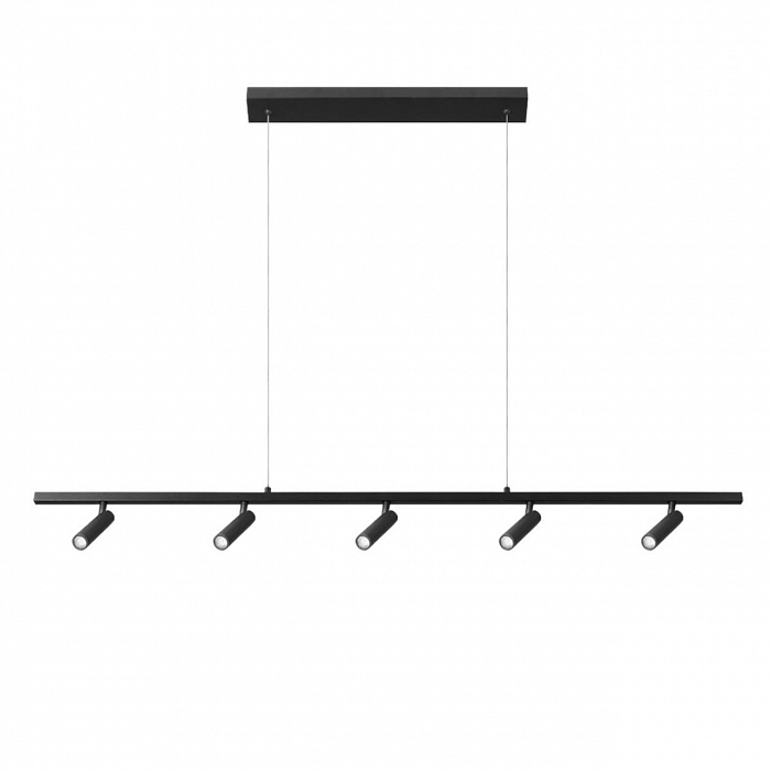 Светильник LOFT IT 10260/5 Black