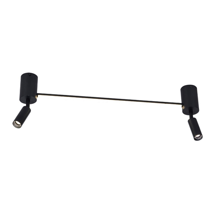 Спот ARTE LAMP A2219PL-2BK