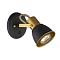 Спот на 1 лампу ARTE LAMP A1677AP-1GO