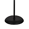 Торшер на 2 и более ламп ARTE LAMP A9569PN-2BK