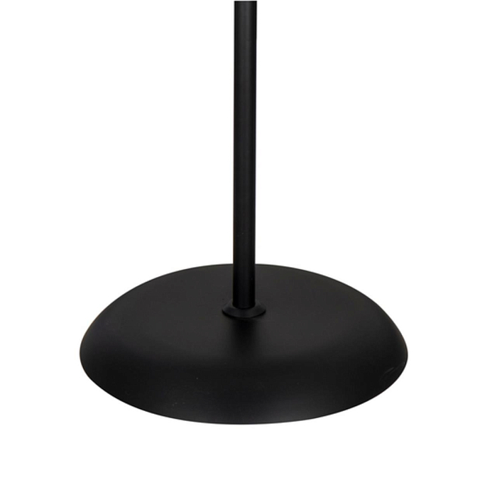 Торшер на 2 и более ламп ARTE LAMP A9569PN-2BK
