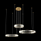 Светильник LOFT IT 10135/3 Gold