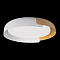 Светильник LOFT IT 10198 White
