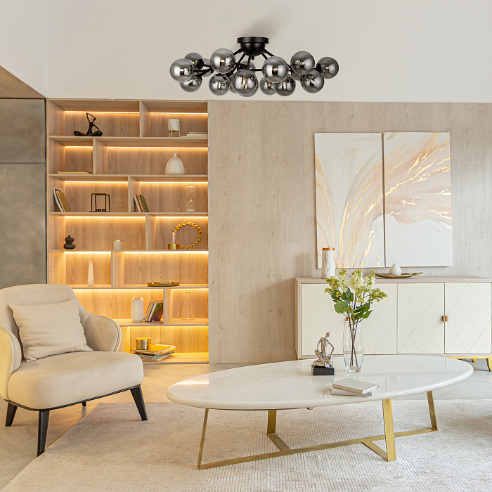 Светильник потолочная Maytoni MOD545CL-20B