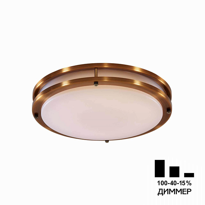 Светильник светодиодный  CL709323N