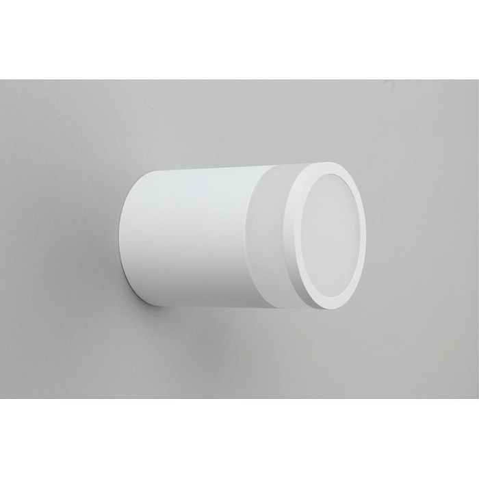 Светильник накладной Omnilux OML-101509-12