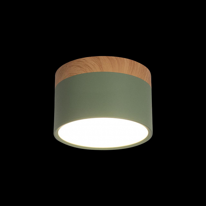 Светильник LOFT IT 10162 Green